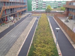 Houten wandeldek Belvédère, Zwolle