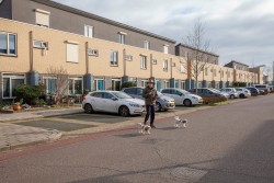 Duurzame gevelrenovatie 35 woningen aan de Muntmeester in Uden