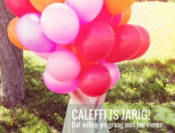 CALEFFI viert haar 20ste verjaardag!