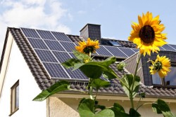 Rijnhart Wonen geeft de volgende fase  zonnepanelen in opdracht