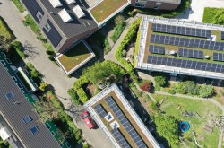 Duurzaam renoveren met een Solar groendak 