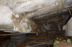 Kruipruimte- en asbestonderzoek aan de start van renovatieprojecten